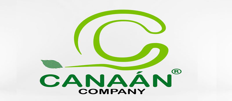 Logo Web